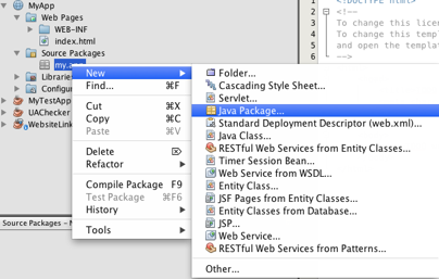 NetBeans window displaying new project options