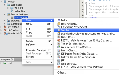 NetBeans window displaying new project options