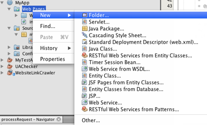 NetBeans print screen showing new folder created